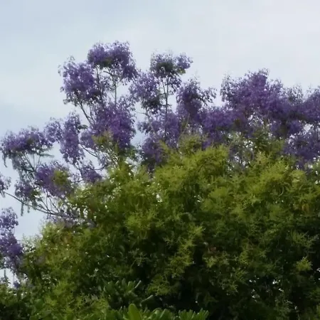 Casetta Jacaranda Appartement Genua