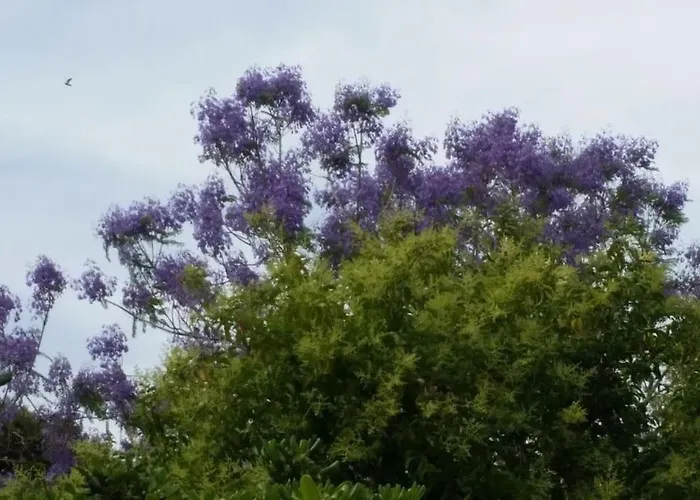 Casetta Jacaranda Appartement Genua