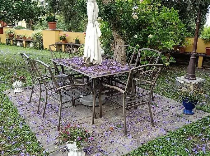 Lejlighed Casetta Jacaranda *