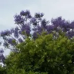 Casetta Jacaranda Apartament Genua